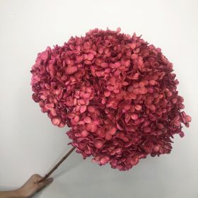 DIY Living Room Table Decoration Decoration Decoration Yongsheng Flower (Option: Suction Red-20 25cm)