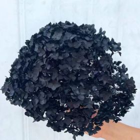 DIY Living Room Table Decoration Decoration Decoration Yongsheng Flower (Option: Black-20 25cm)