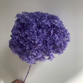 DIY Living Room Table Decoration Decoration Decoration Yongsheng Flower (Option: Violet-20 25cm)