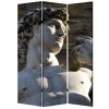 Brar 71 Inch 3 Panel Canvas Screen, Michelangelos David Print, Multicolor