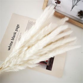 Dried Flowers Pampas Grass Mixed Bunny Rabbit Tail Lagurus Bouquet Wedding Christmas Decoration Natural Reed Flower Home Decora (Color: white pampa)