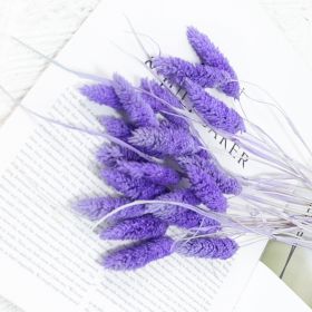 Dried Flowers Pampas Grass Mixed Bunny Rabbit Tail Lagurus Bouquet Wedding Christmas Decoration Natural Reed Flower Home Decora (Color: Gem purple)