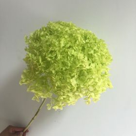 DIY Living Room Table Decoration Decoration Decoration Yongsheng Flower (Option: Vivid Chartreuse-20 25cm)