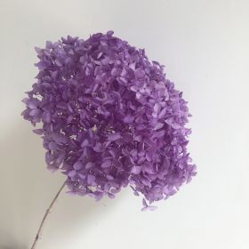 DIY Living Room Table Decoration Decoration Decoration Yongsheng Flower (Option: Taro Purple-20 25cm)